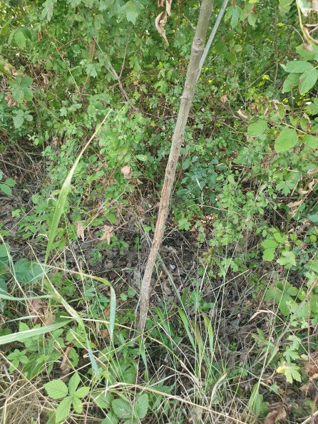 PA_AT_POET_otheractivitysignphoto_20220824153512032