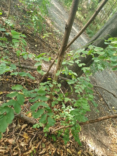 PA_AT_POET_otheractivitysignphoto_20220824155732606