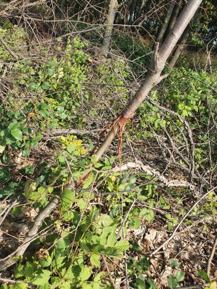 PA_AT_POET_otheractivitysignphoto_20220824160351674