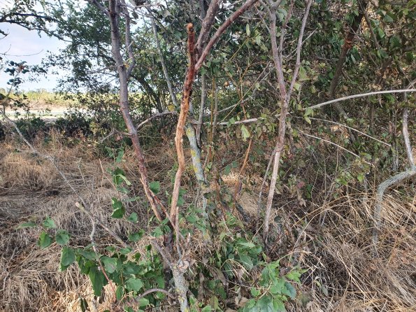 PA_AT_POET_otheractivitysignphoto_20220824160839125