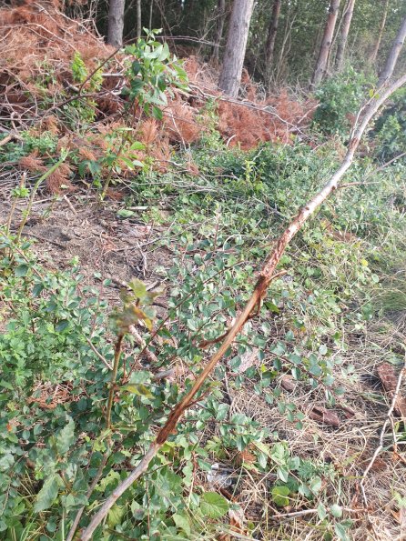 PA_AT_POET_otheractivitysignphoto_20220824163103559