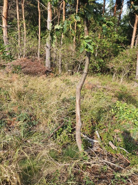 PA_AT_POET_otheractivitysignphoto_20220824164222857