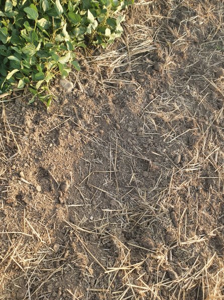 PA_AT_POET_otheractivitysignphoto_20220824184602106