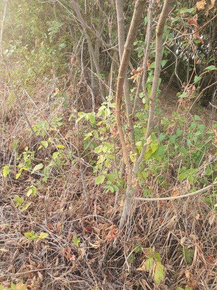 PA_AT_POET_otheractivitysignphoto_20220824192244912