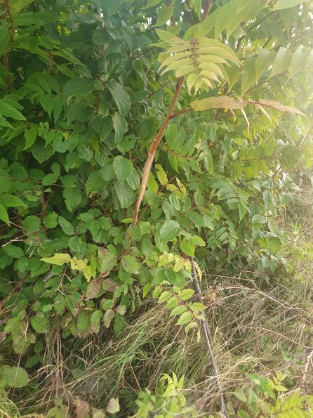 PA_AT_POET_otheractivitysignphoto_20220824194136622