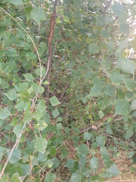 PA_AT_POET_otheractivitysignphoto_20220824194956743