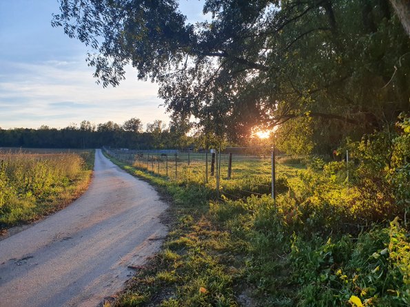 PA_AT_POET_photobarrier_20211001182228082