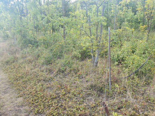 PA_AT_POET_photobarrier_20220824153205079