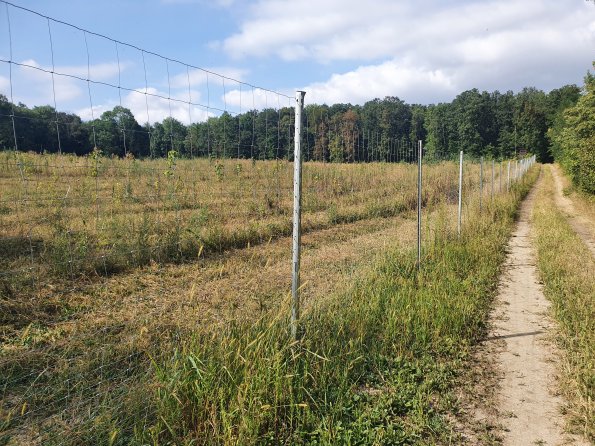 PA_AT_POET_photobarrier_20220824155215018