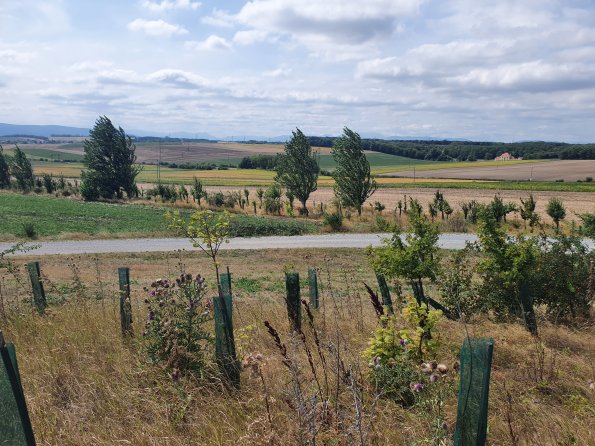 PA_AT_POET_photofromsurroundingoverpass_20220824133857074