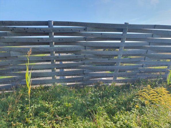 PA_AT_POET_spatialcommentphoto_20211001144238930