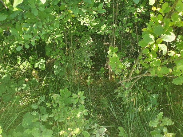 PA_AT_POET_spatialcommentphoto_20211001152058168