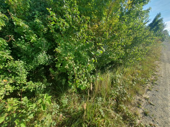 PA_AT_POET_spatialcommentphoto_20211001152112958