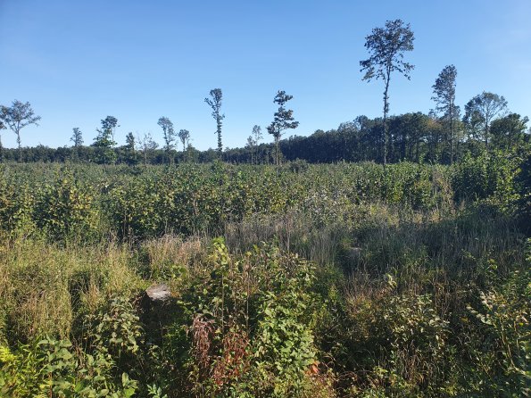 PA_AT_POET_spatialcommentphoto_20211001152326842