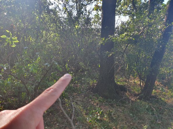 PA_AT_POET_spatialcommentphoto_20211001153205465