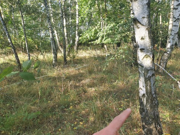 PA_AT_POET_spatialcommentphoto_20211001154131124