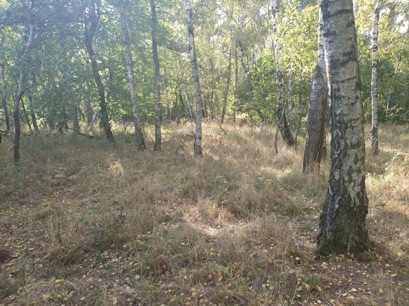 PA_AT_POET_spatialcommentphoto_20211001154714197