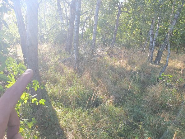 PA_AT_POET_spatialcommentphoto_20211001154826137