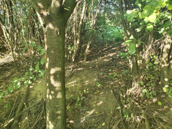 PA_AT_POET_spatialcommentphoto_20211001161332171