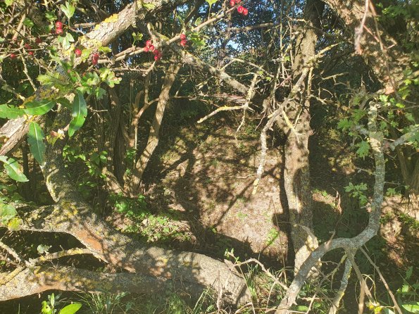 PA_AT_POET_spatialcommentphoto_20211001161717768