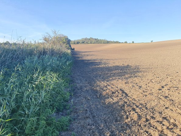 PA_AT_POET_spatialcommentphoto_20211001165256762