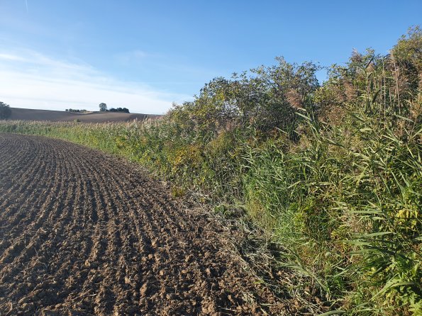 PA_AT_POET_spatialcommentphoto_20211001165618526