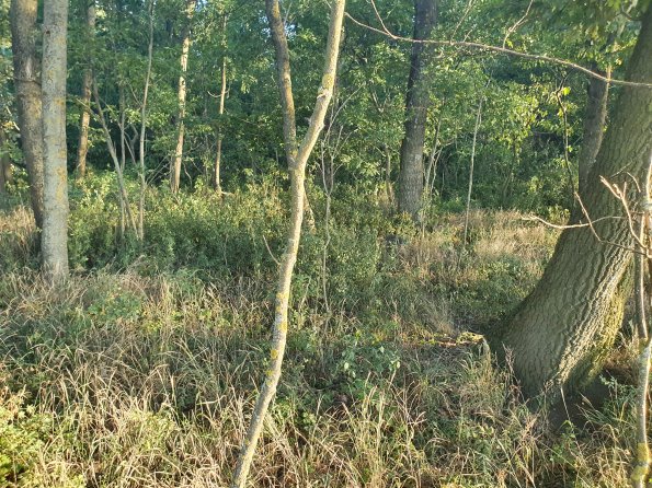 PA_AT_POET_spatialcommentphoto_20211001173407486