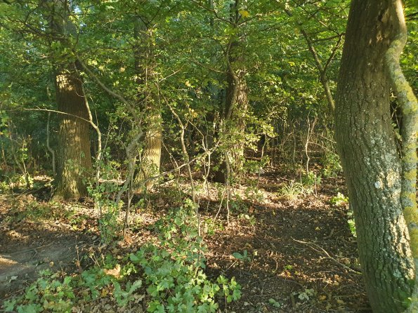 PA_AT_POET_spatialcommentphoto_20211001173607614