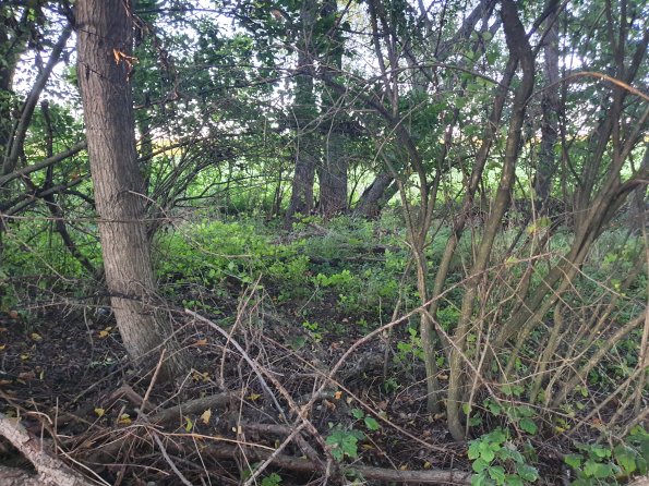 PA_AT_POET_spatialcommentphoto_20211001180919407