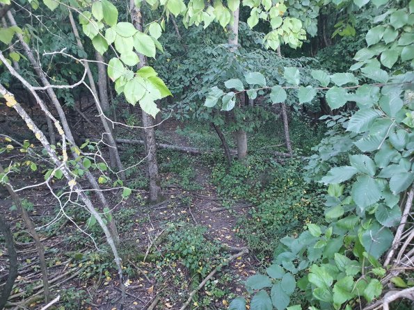 PA_AT_POET_spatialcommentphoto_20211001181809681