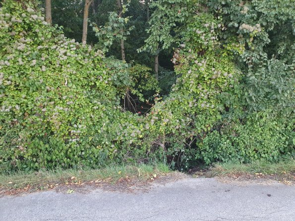 PA_AT_POET_spatialcommentphoto_20211001181829434