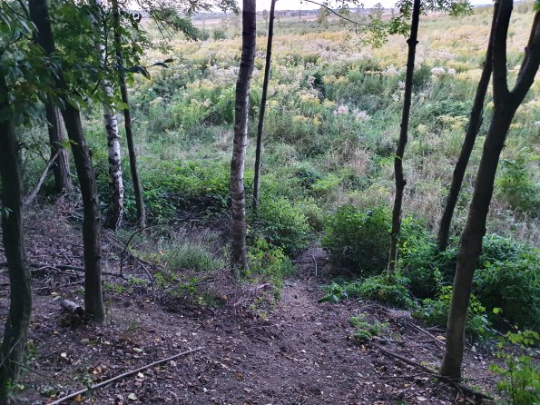 PA_AT_POET_spatialcommentphoto_20211001183722166