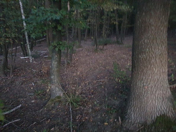 PA_AT_POET_spatialcommentphoto_20211001185245810