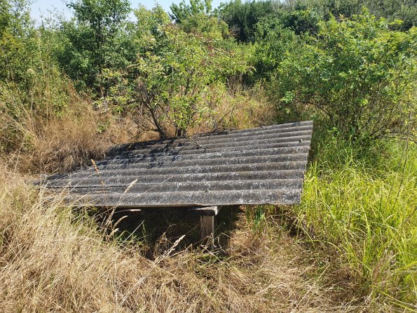 PA_AT_POET_spatialcommentphoto_20220729105839758