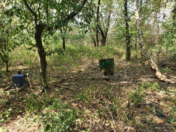 PA_AT_POET_spatialcommentphoto_20220729131713797