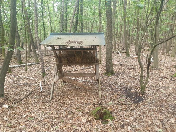 PA_AT_POET_spatialcommentphoto_20220823185354601