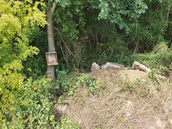 PA_AT_POET_spatialcommentphoto_20220824121341124