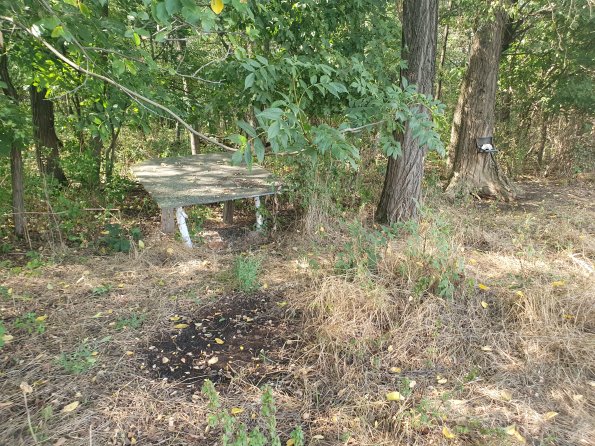 PA_AT_POET_spatialcommentphoto_20220824153618279