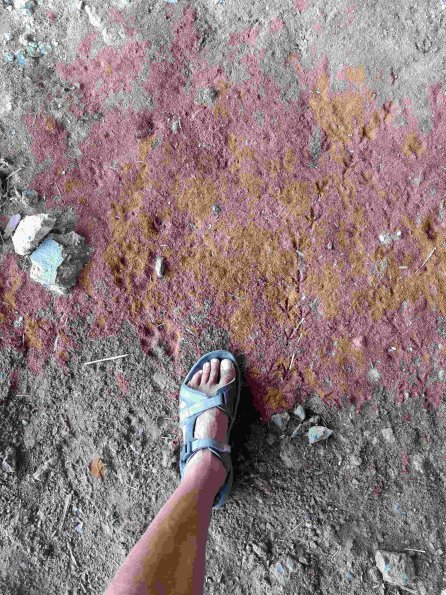 PA_BUL_abovefootprintphoto_20220729122121676