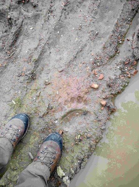 PA_RO_TM_abovefootprintphoto_20220527133542312