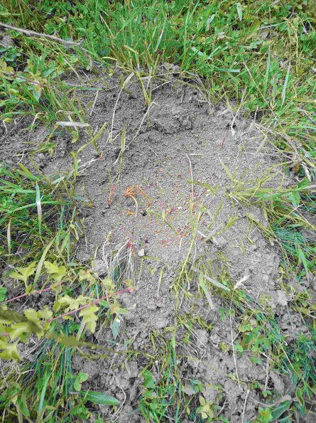 PA_RO_TM_otheractivitysignphoto_20220527140910804