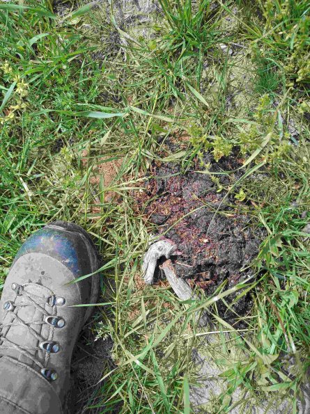 PA_RO_TM_otheractivitysignphoto_20220527141450358