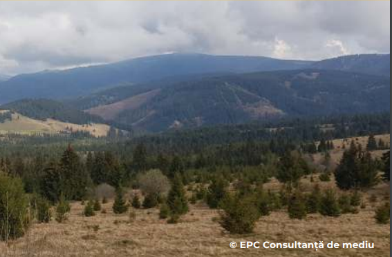 Screenshot 2023-01-30 130304