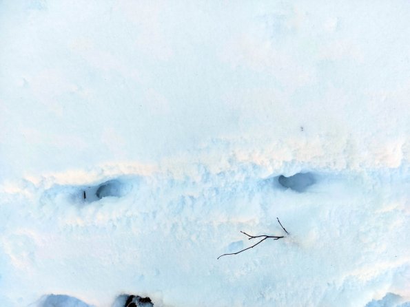 JPEG_20220521173535954