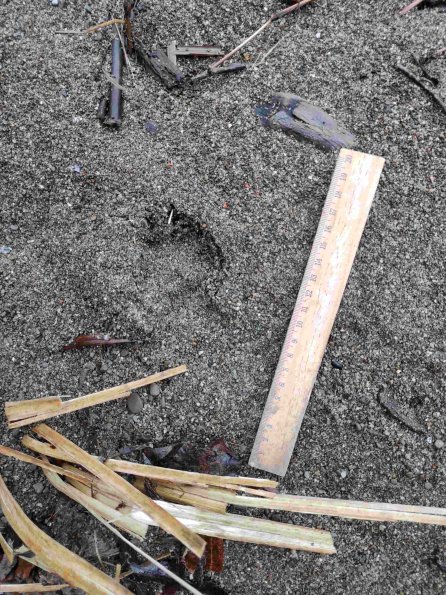 PA_UKR_abovefootprintphoto_20211217141159280