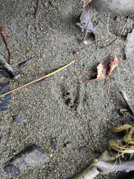 PA_UKR_abovefootprintphoto_20211217141819255