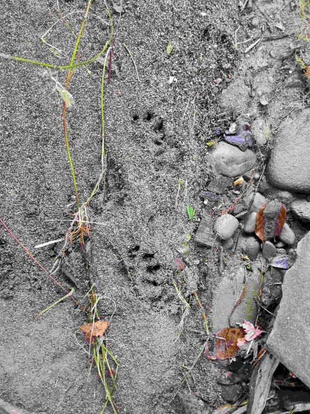 PA_UKR_abovefootprintphoto_20211217141923020