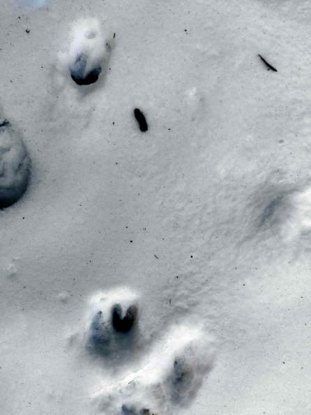 PA_UKR_abovefootprintphoto_20220112163122257