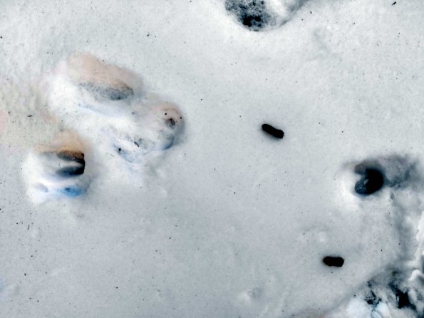 PA_UKR_abovefootprintphoto_20220112163135388