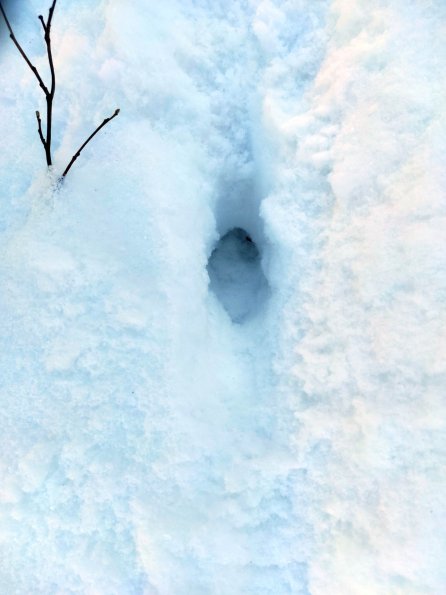 PA_UKR_abovefootprintphoto_20220124132402680